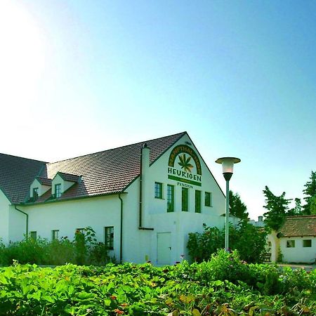 Hanfthal-Hof Laa an der Thaya Dış mekan fotoğraf
