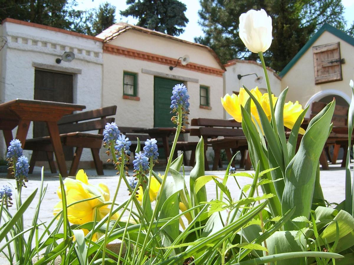 Hanfthal-Hof Laa an der Thaya Dış mekan fotoğraf